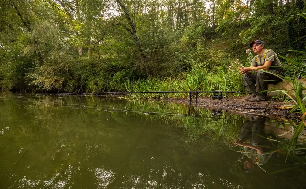 Fox Horizon X4 Rute, Abbreviated 4 Fox Horizon X4 Rute, Abbreviated – Bild 2