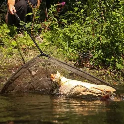 Fox Horizon X4 Unterfangkescher 10 Fox Horizon X4 Unterfangkescher -FOX Verkäufe fox horizon x3 42 landing net 6 2.jpg