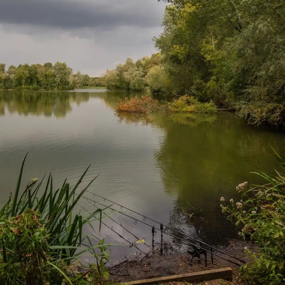 Fox Horizon X4 Rute, Abbreviated 14 Fox Horizon X4 Rute, Abbreviated – Bild 12