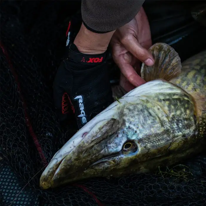 Fox Rage Handschuhe 8 Fox Rage Handschuhe – Bild 6